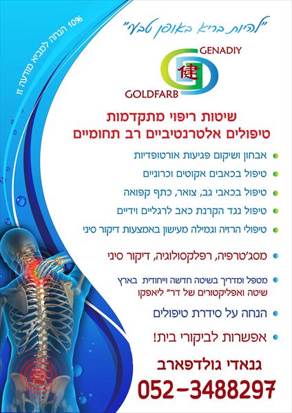פלאיר