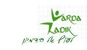 דמיון מודרך
