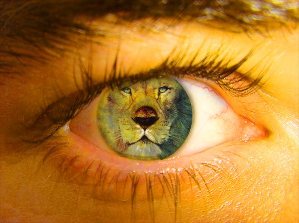 Tiger eye