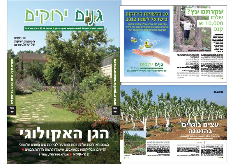 מגזין גני ירוקים
