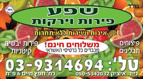 מגנט