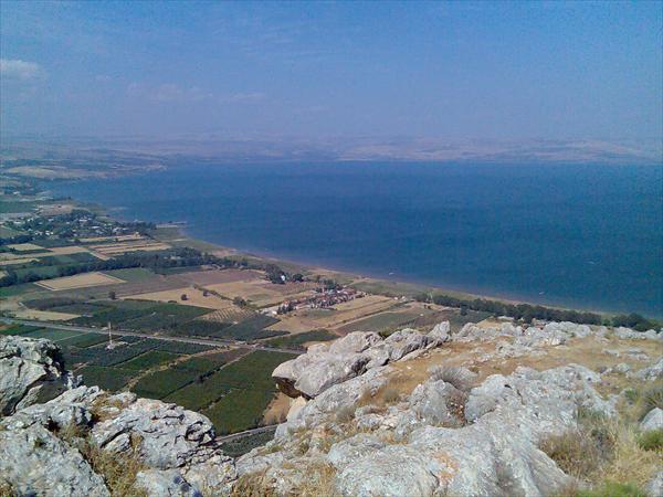 אומגה 3 מצמח המרווה