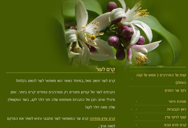 קוסמטיקה טבעית - קידום אורגני