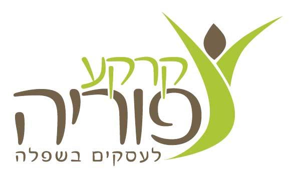 עיצוב לוגו לקבוצה בביז