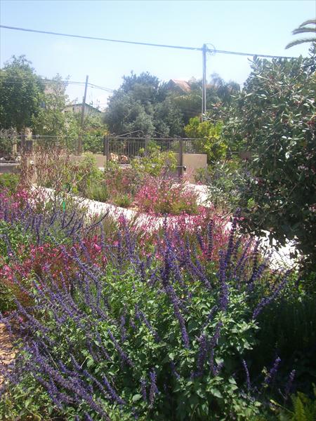 הקמה ותחזוקת גינות