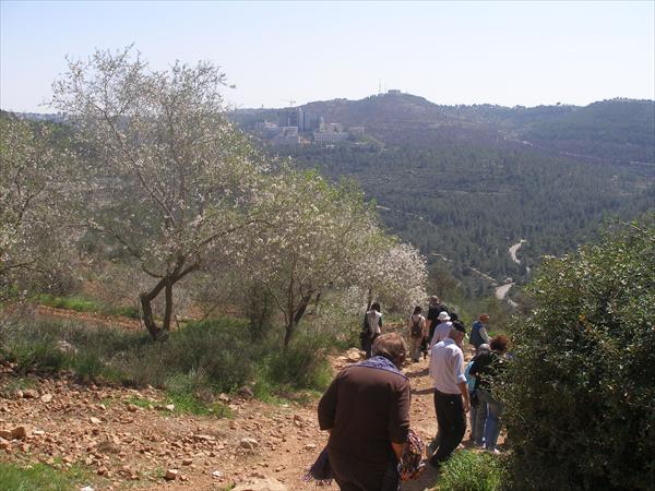 טיול לסטף ועין כרם