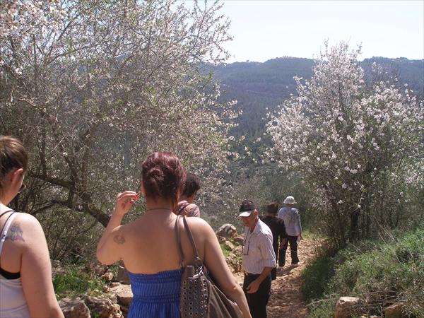 טיול לסטף ועין כרם