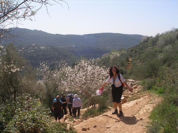 טיול לסטף ועין כרם