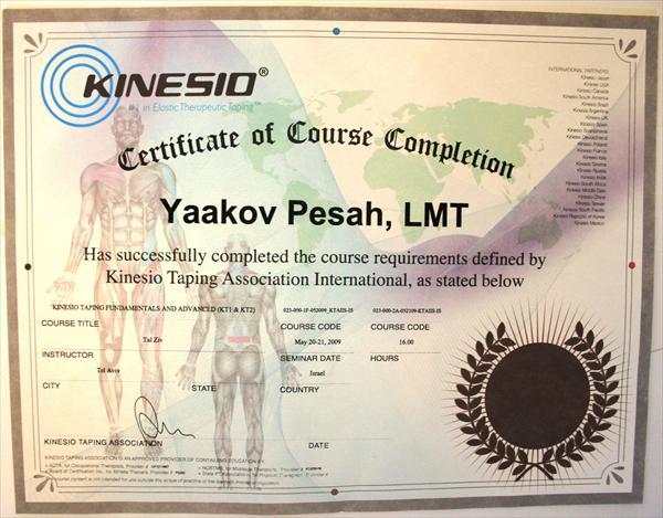תעודת kinesio tex therapy