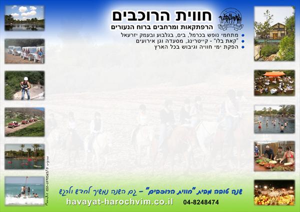 לוח פרסום מגנטי מחיק