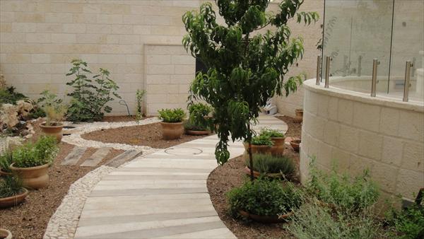 גינה אחורית