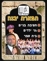 באנר 6