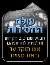 באנר 11