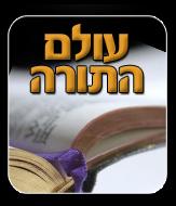באנר 12