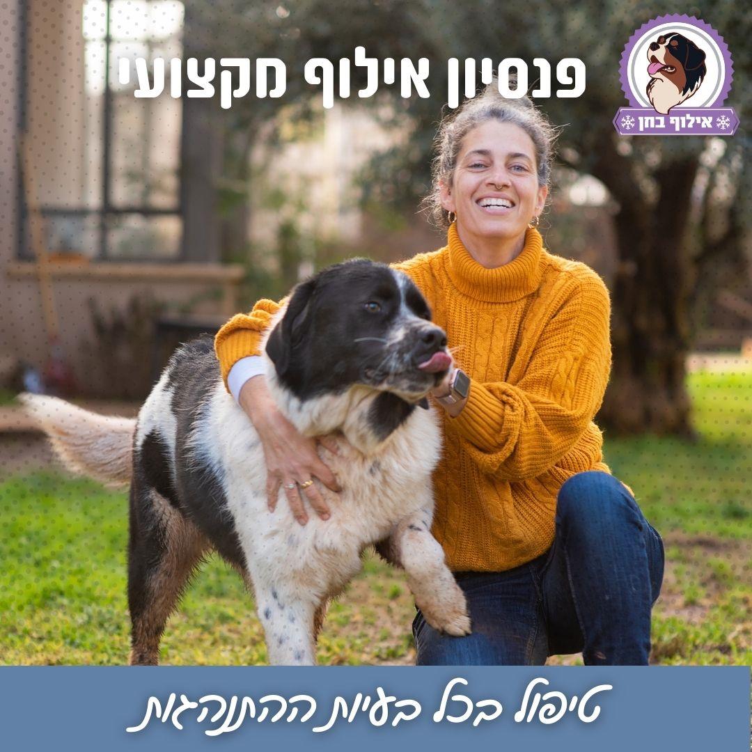 תוכן לקמפיין ממומן