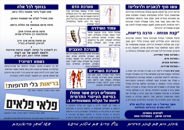 ברושור מפורט על העסק