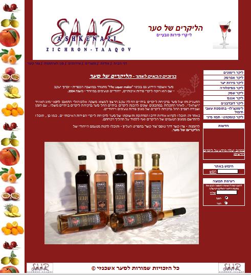 עיצוב דף הבית לאתר- הליקרים של סער