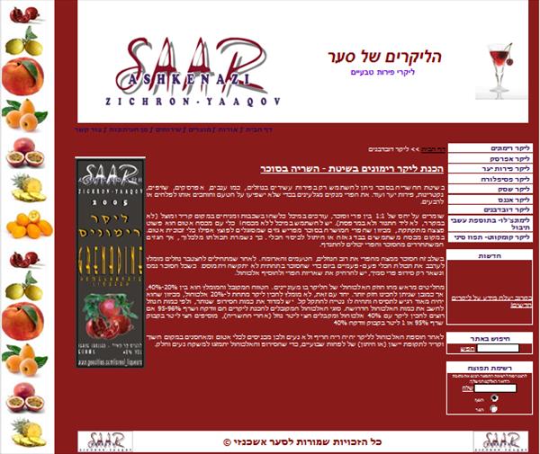 עיצוב דף מוצר באתר- הליקרים של סער