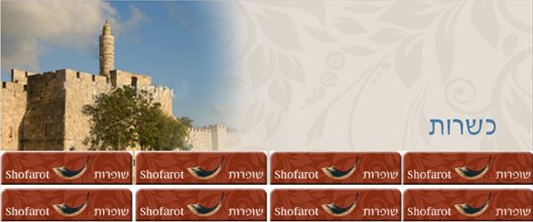 באנר פתיחה לאתר + כפתורים