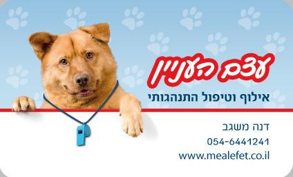אילוף כלבים