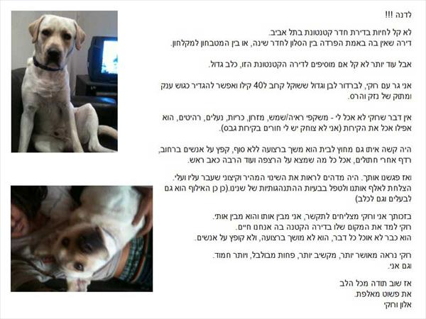 המלצות