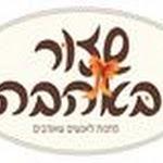 לוגו מעוצב