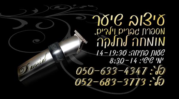 דוגמא לכרטיס ביקור