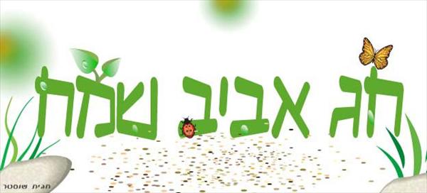 עיצוב ברכה
