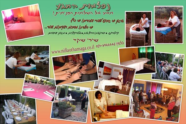 ערבי גיבוש למוסדות