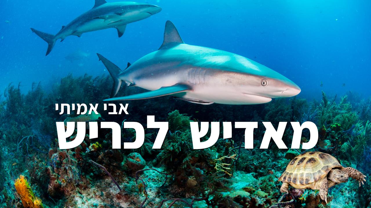 מצגת להדרכה באירגון - העלאת מוטיבציה לעובדים