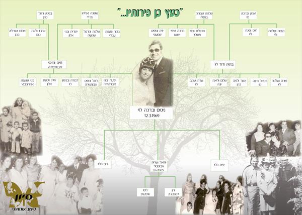 עץ שורשים 1