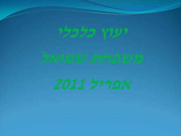 יעוץ כלכלי למשפחה