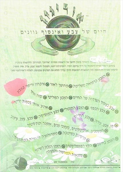 מס.0 8 = סדנאות מגוונות בשפת האור והצבע