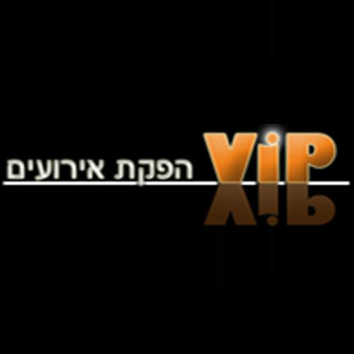 עיצוב לוגו