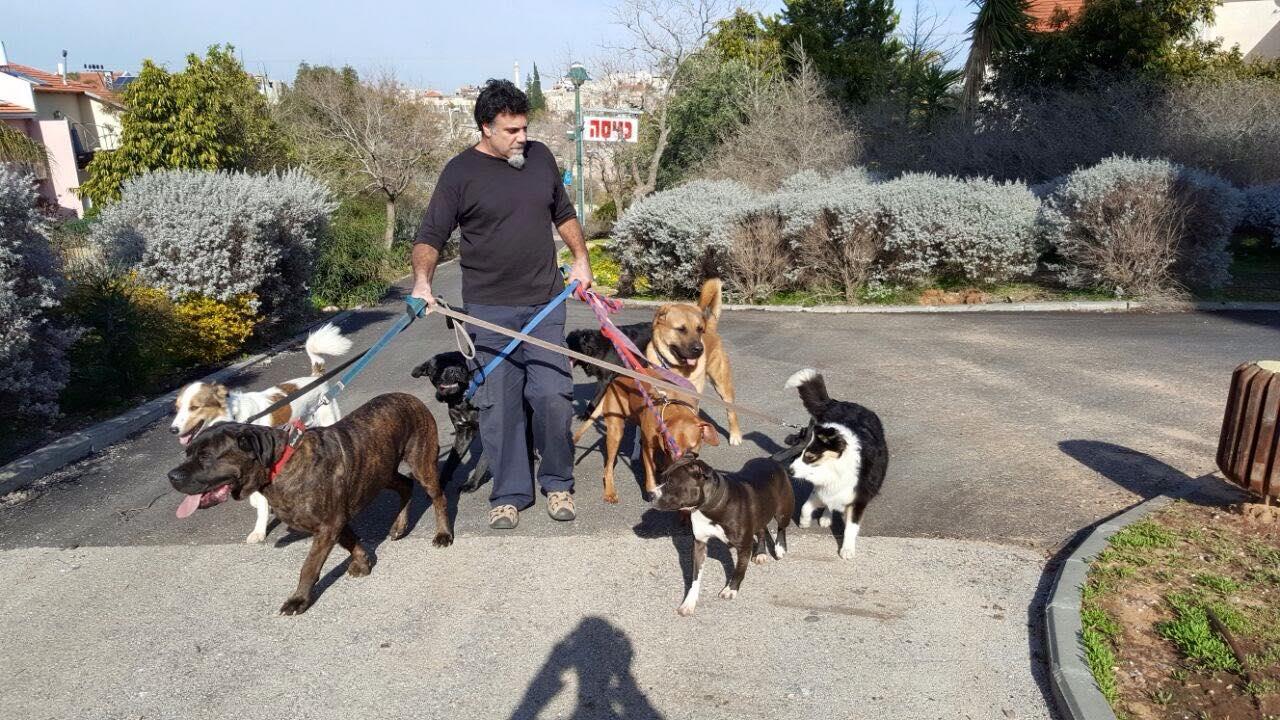 עמוס יוגב פנסיון כלבים במרכז אילוף כלבים