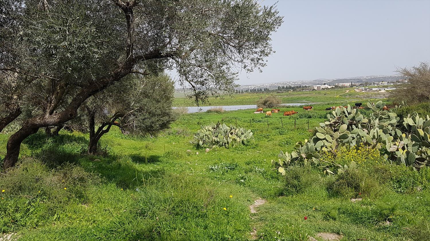 "מתחת לאף" - סיור בפארק קנדה
