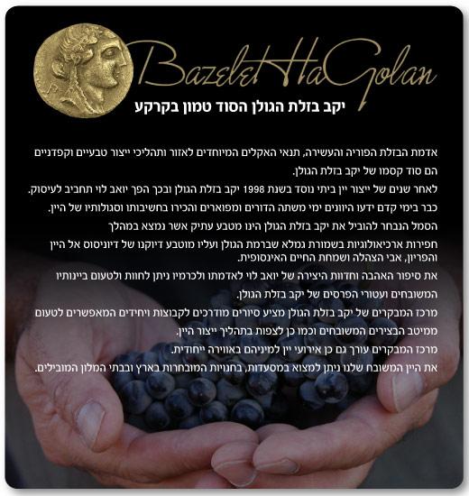 דף נחיתה לפייסבוק