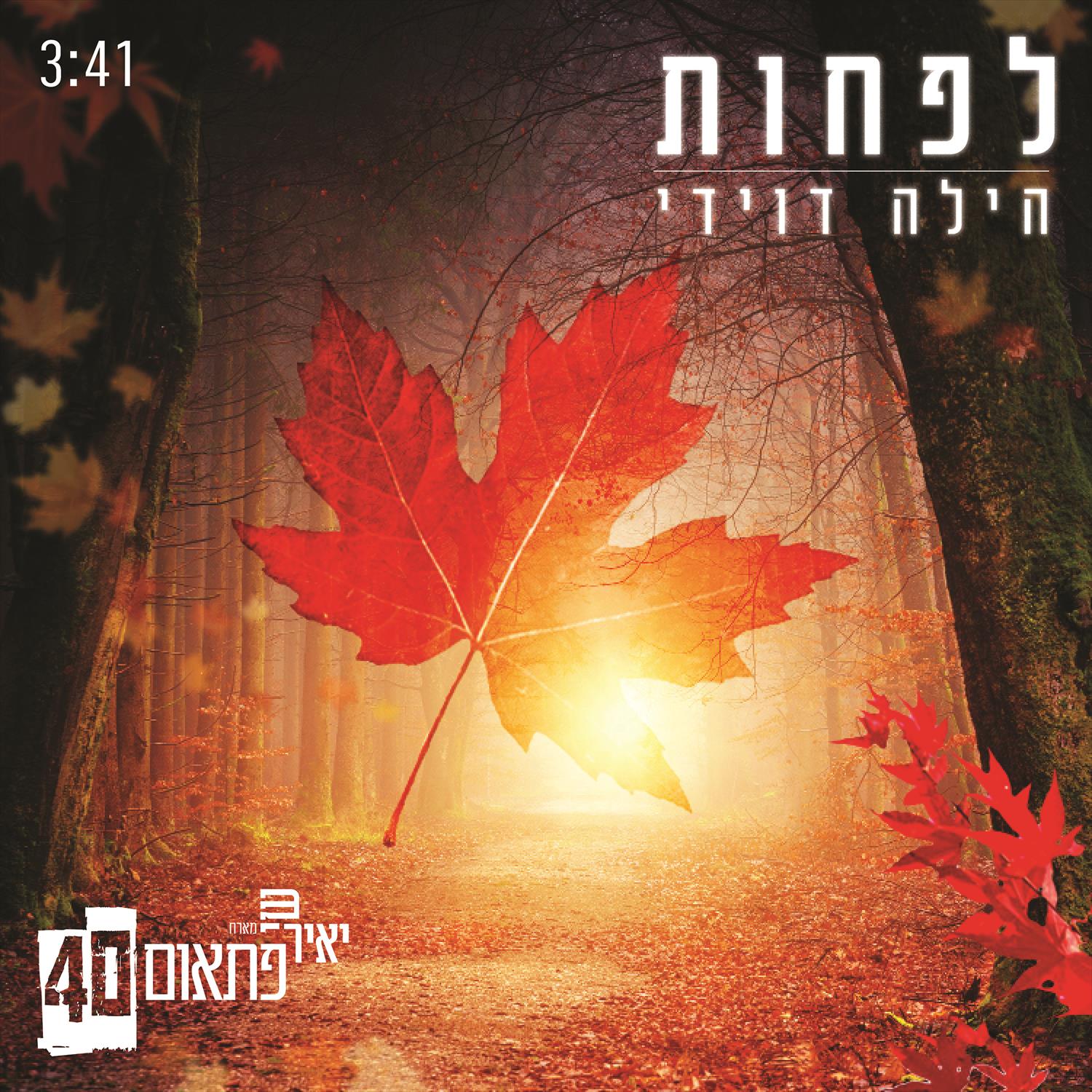 עיצבתי סינגל - יאיר שי - לפחות