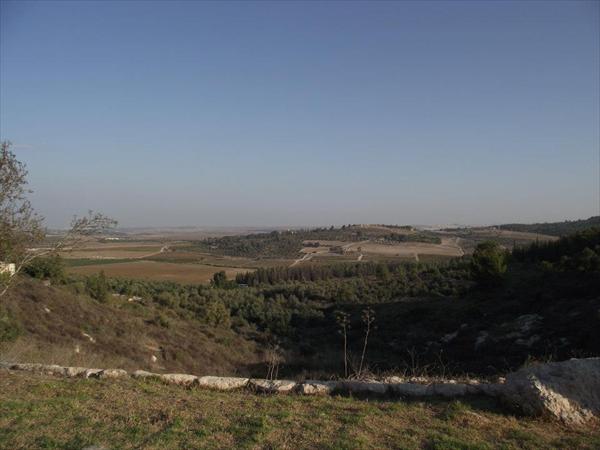 סדנת יוגה 28-29 לאוקטובר