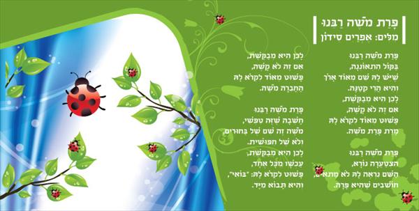 שילוט