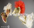 מתנות לאורחים - חינה