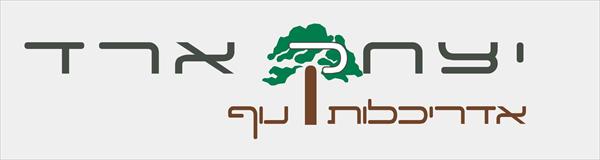 לוגו