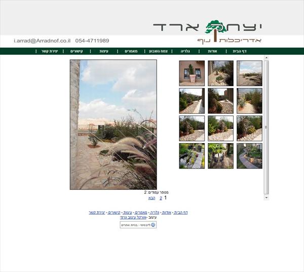 עיצוב אתר