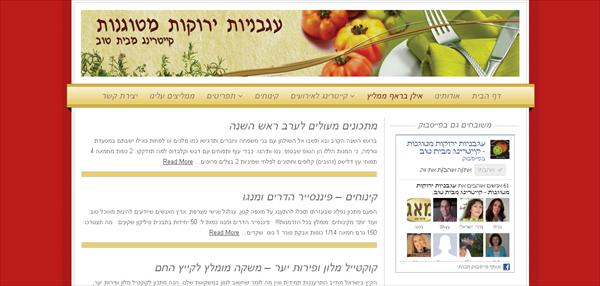 שילוב ערוצי שיווק - דף הפייסבוק והאתר