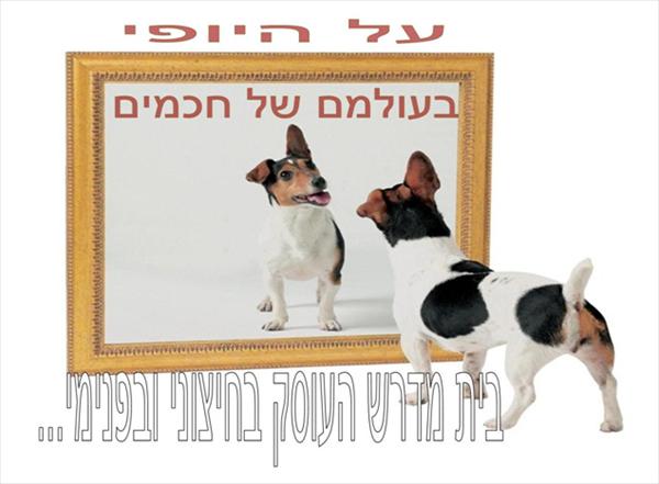 על היופי