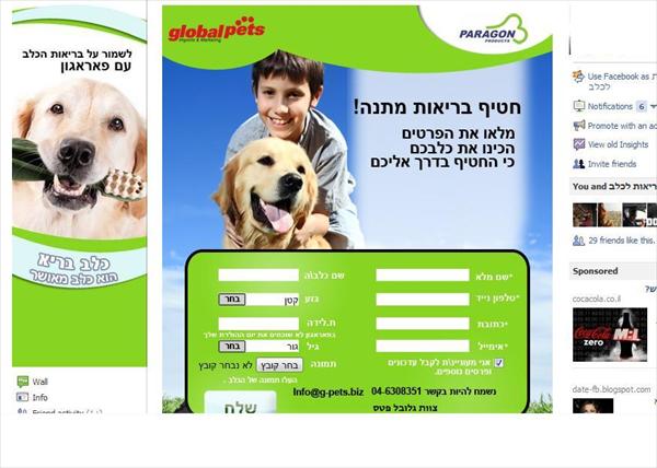 דפי פייסבוק