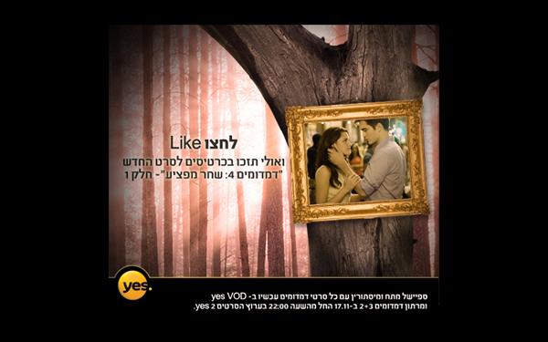 דף like לחברת yes