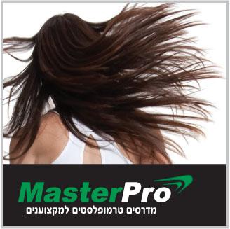 מיתוג מאסטר פרו