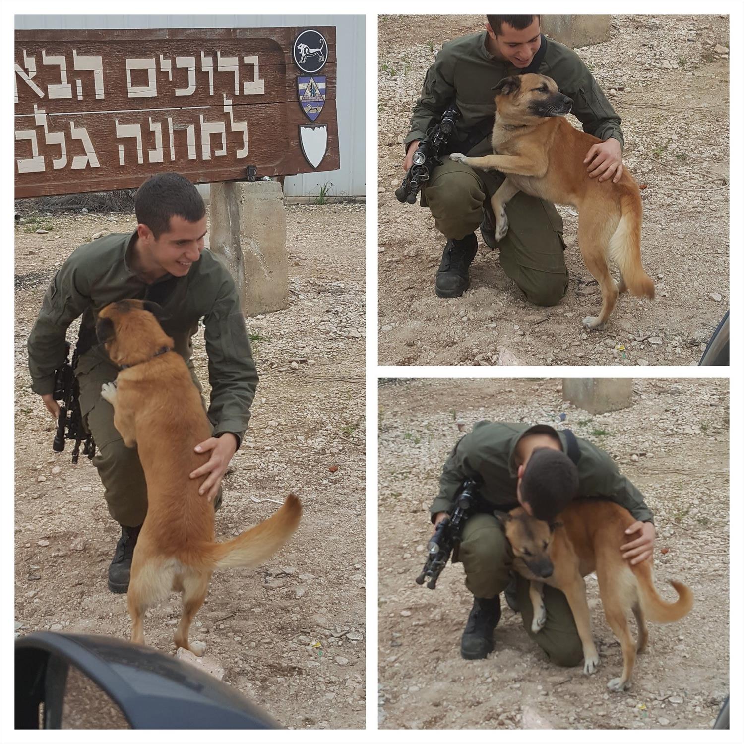 אהב לטפל בכלבים , חיות , סוסים  ארנון בנבניסטי הי״ד יליד 1997 לוחם שנפל בקרבות מלחמת חרבות ברזל