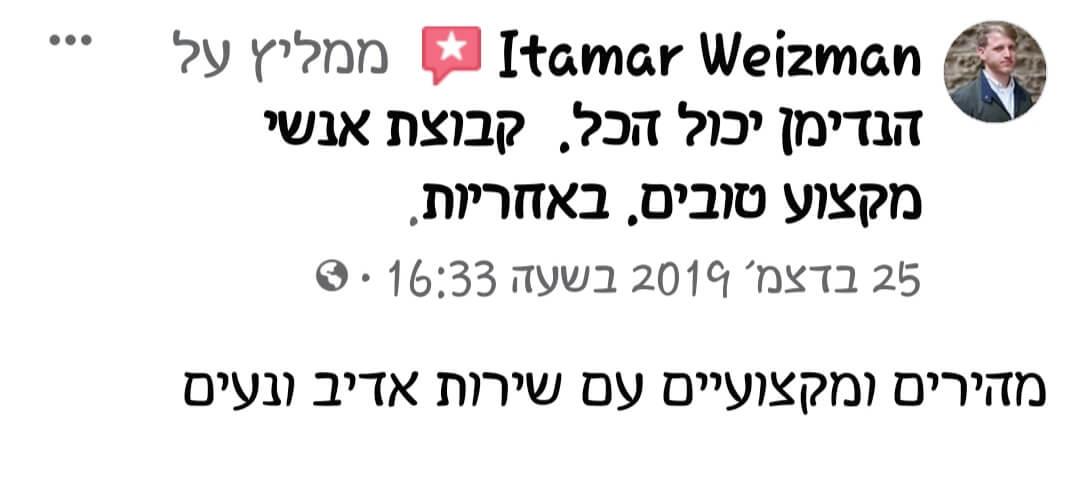 חוות דעת על הנדימן יכול הכל